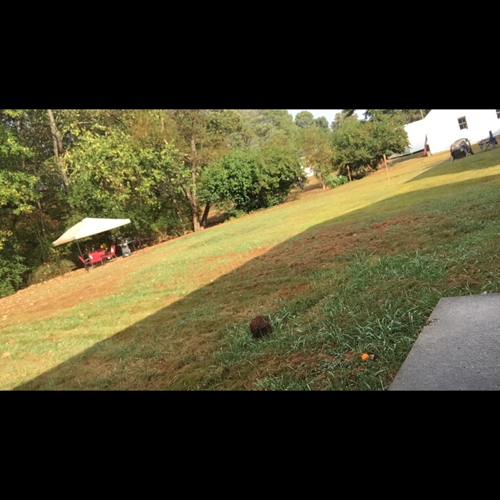 Meet your Posher, Justin